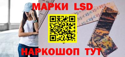 ПСИЛОЦИБИНОВЫЕ ГРИБЫ Рязань