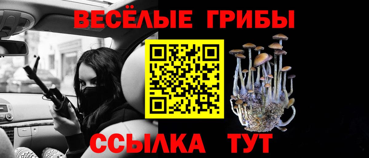 Галлюциногенные грибы Psilocybe Новый Уренгой
